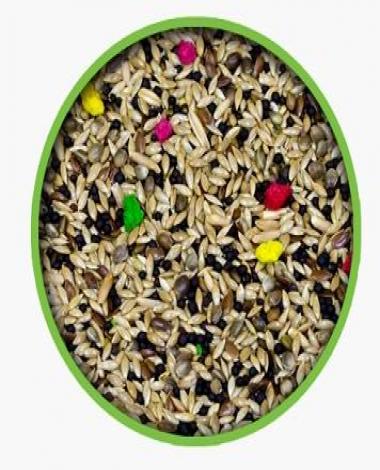 Markapetshop Com Kanarya Yemi Kanarya Yemleri Kanarya Yemi Fiyatlari Kanarya Yemi Fiyati Kanarya Yemleri Fiyati Kanarya Yemleri Fiyatlari Kanarya Yemi Cesitleri Kanarya Yemi Satis Kanarya Yemi Satis Kanarya Yemi 25 Kg Kanarya Yemi Toptan Saticilari
