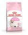 ROYAL CANIN KITTEN (YAVRU) KEDİ MAMASI 2 KG