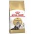 ROYAL CANIN PERSIAN ADULT YETİŞKİN KEDİ MAMASI 10 KG