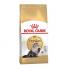 ROYAL CANIN PERSIAN ADULT YETİŞKİN KEDİ MAMASI 4 KG