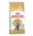 ROYAL CANIN BRITISH SHORTHAIR KEDİ MAMASI 2 KG