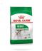 ROYAL CANIN MINI ADULT KÜÇÜK IRK YETİŞKİN KÖPEK MAMASI 2 KG